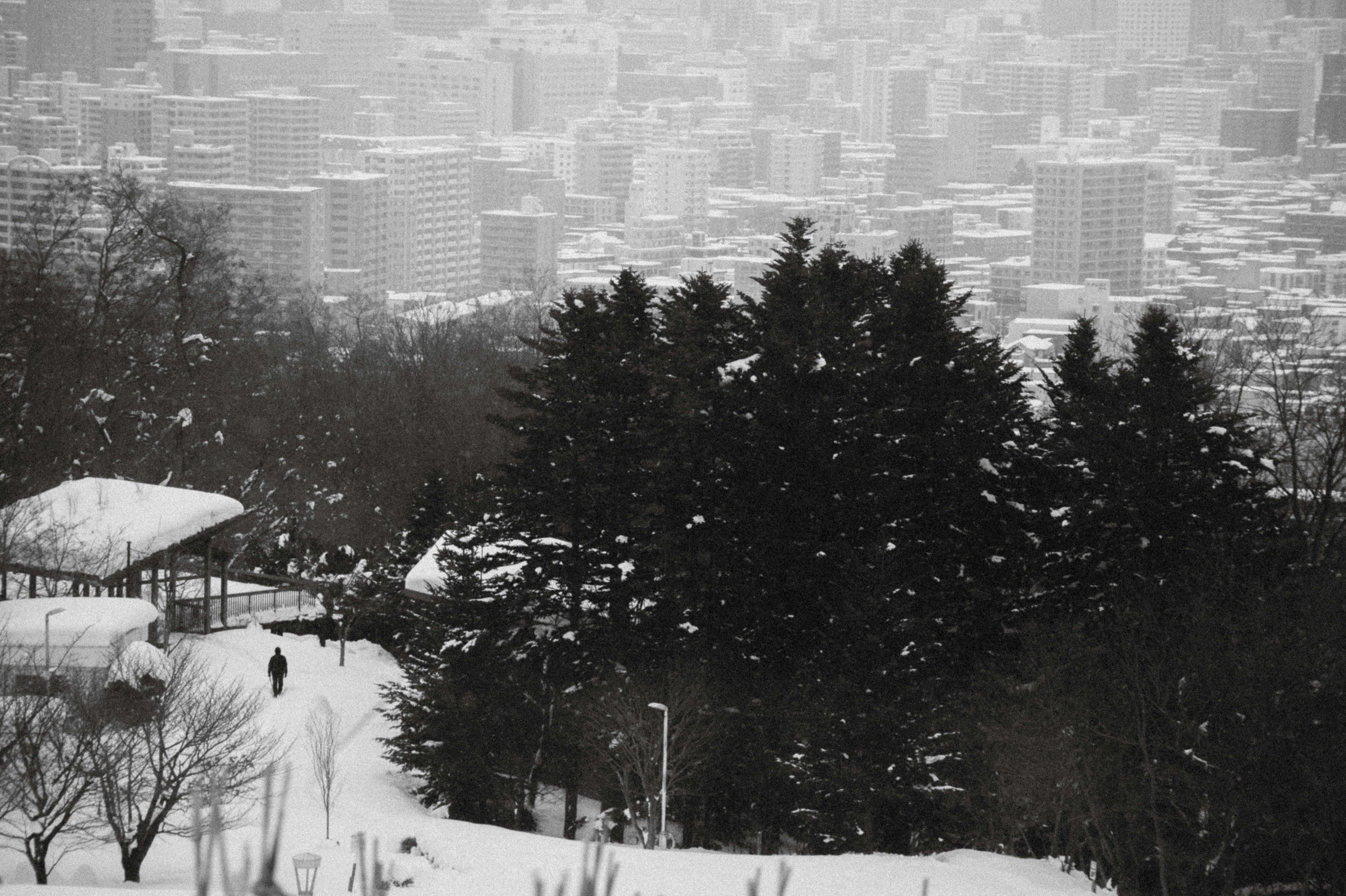 Sapporo