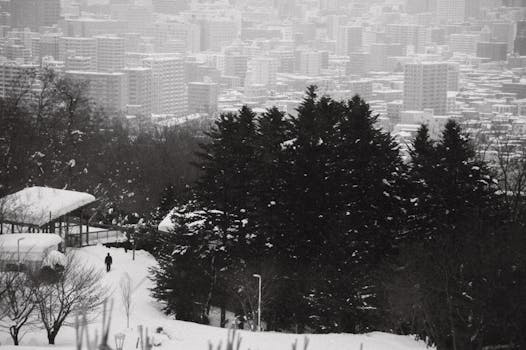 A scenic winter view of a snowy park with city buildings in Hokkaido, Japan.