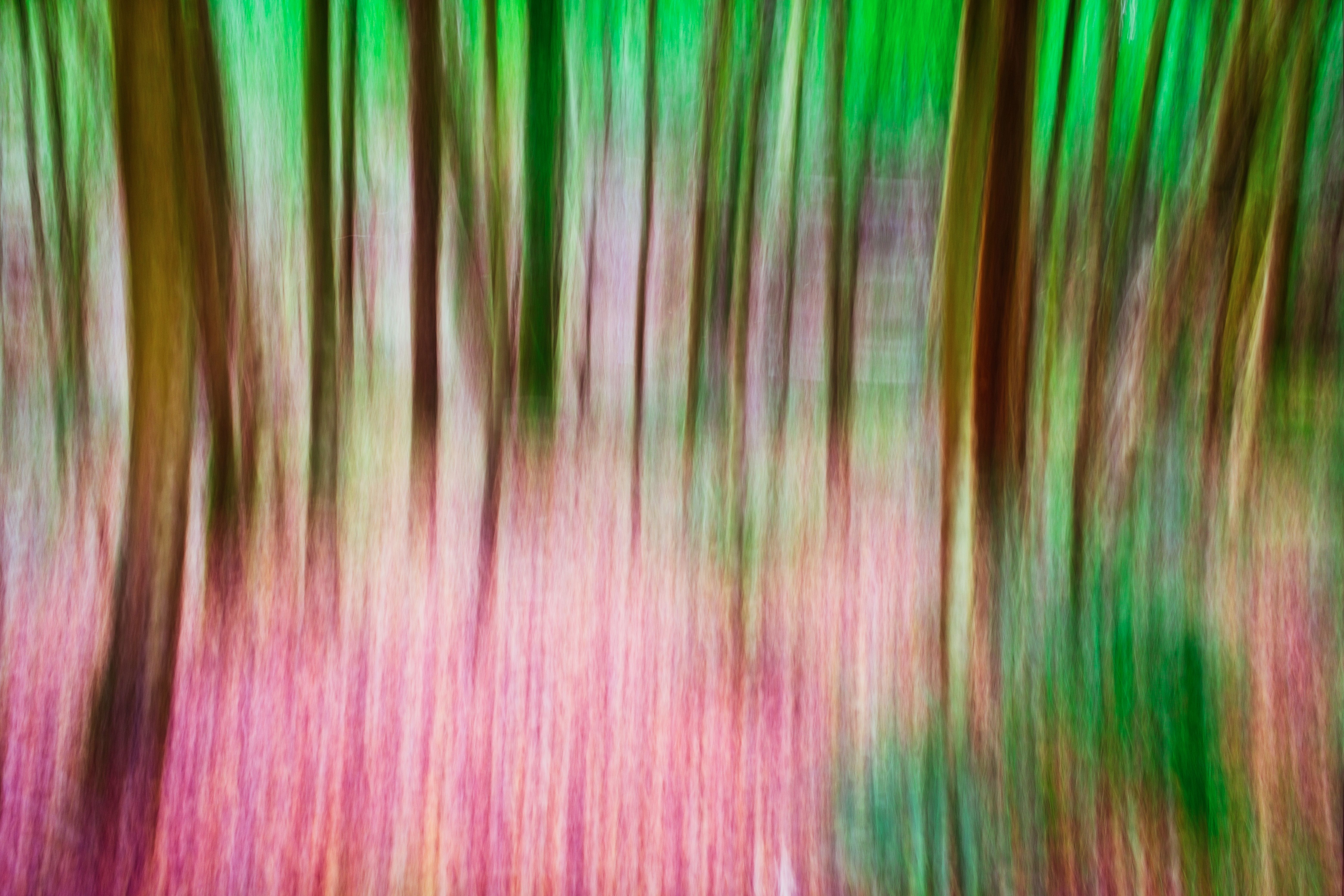 Colorful Pattern on Hair · Free Stock Photo