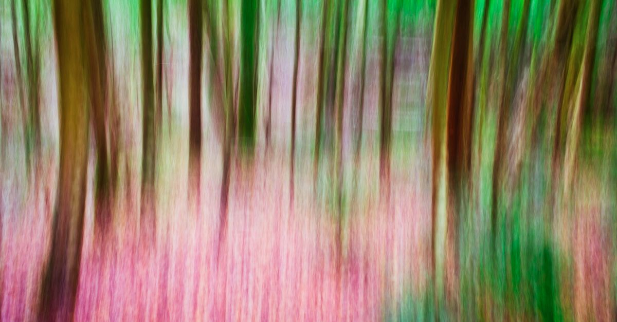 Patterned Hair Color Colorful Pattern on Hair · Free Stock Photo