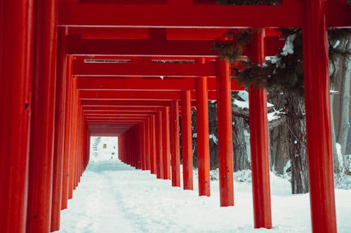 A red tori gate in the snow