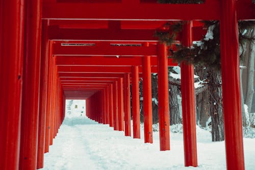 Gratis stockfoto met attractie, Azië, fushimi inari