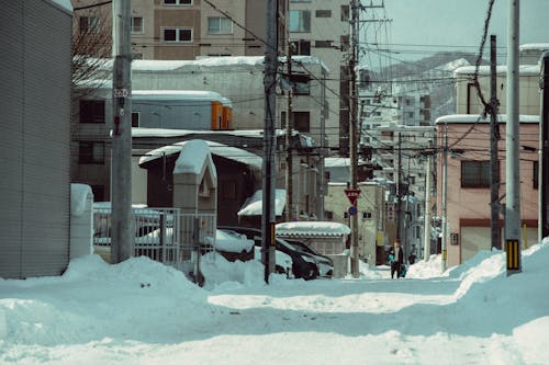 Japanese Road in Winter