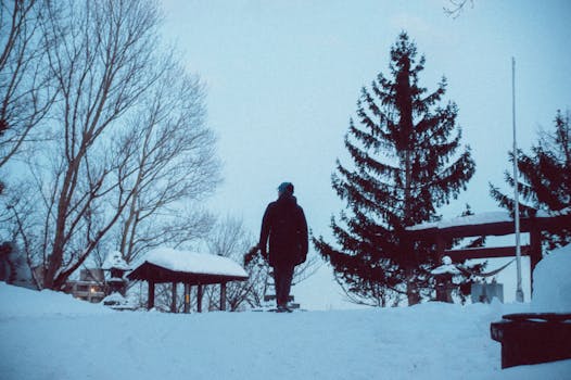 A person walks through a tranquil winter scene in Hokkaido, Japan, surrounded by snow-covered trees.