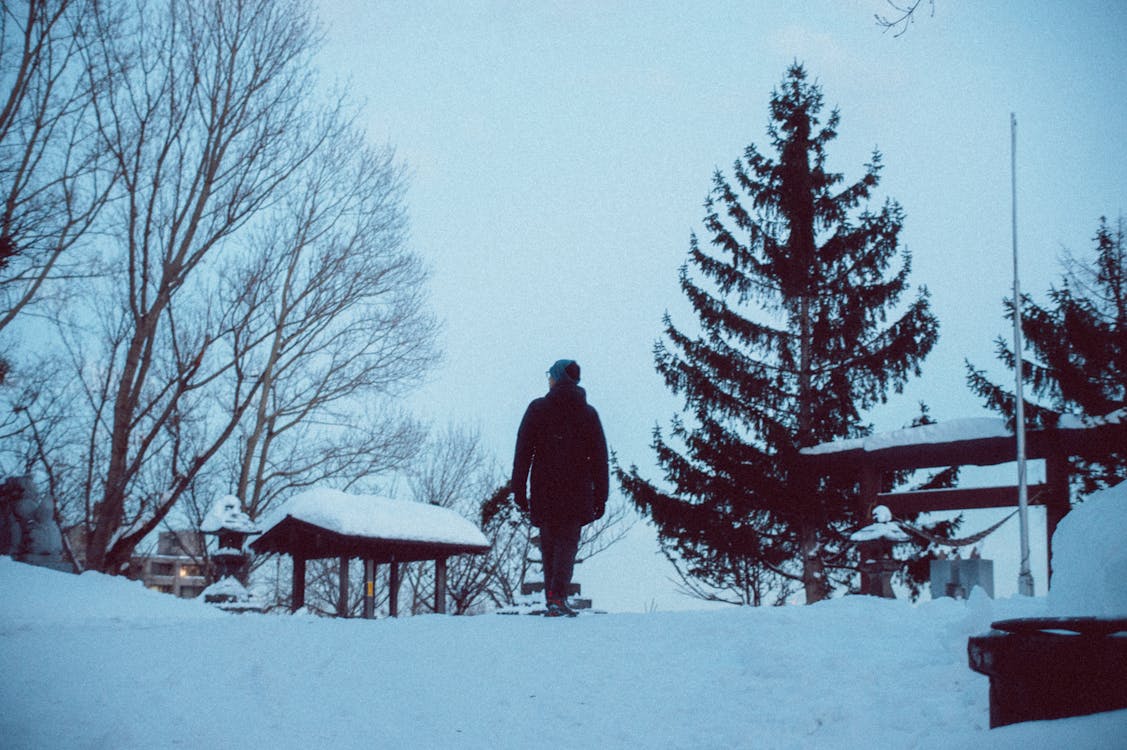 A Person Standing Outdoors in Winter 