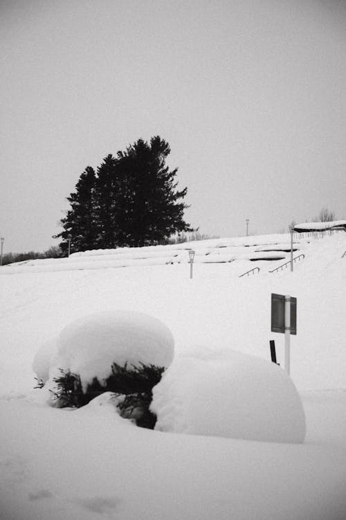 dikey atış, kar, Kent içeren Ücretsiz stok fotoğraf