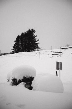 Serene black and white photo of a snowy landscape in Hokkaido, Japan.