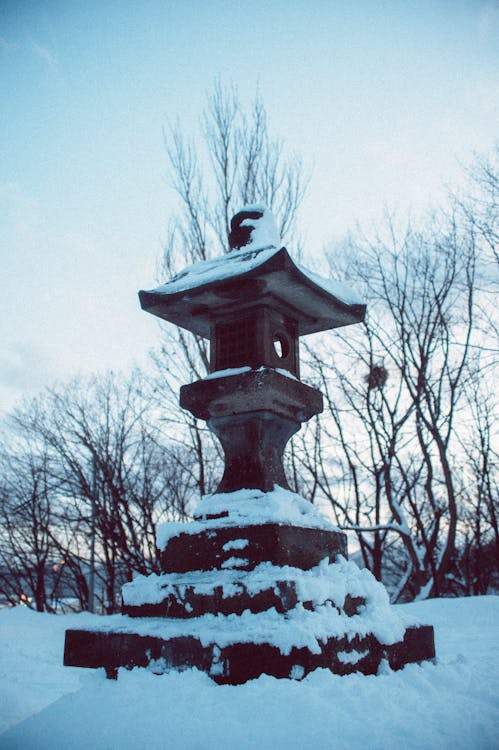 Statue in Park Covered with Snow 