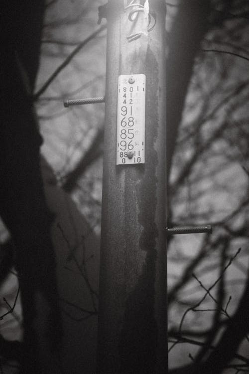 Kostenloses Stock Foto zu fotografie, japan, japanisches leben
