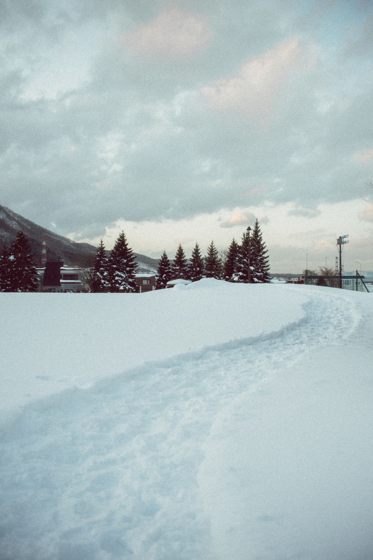 Scenic snowy path in Hokkaido with fir trees and winter clouds