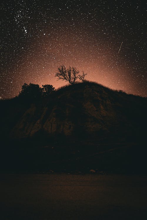 Silhouetted Hill with a Tree on Top under a Starry Night sky 