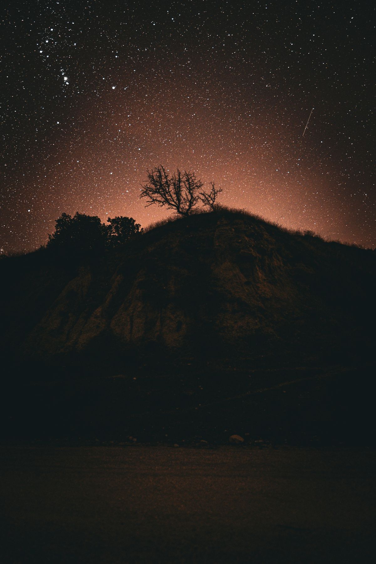 Starry Night Sky with Lone Tree Landscape · Free Stock Photo