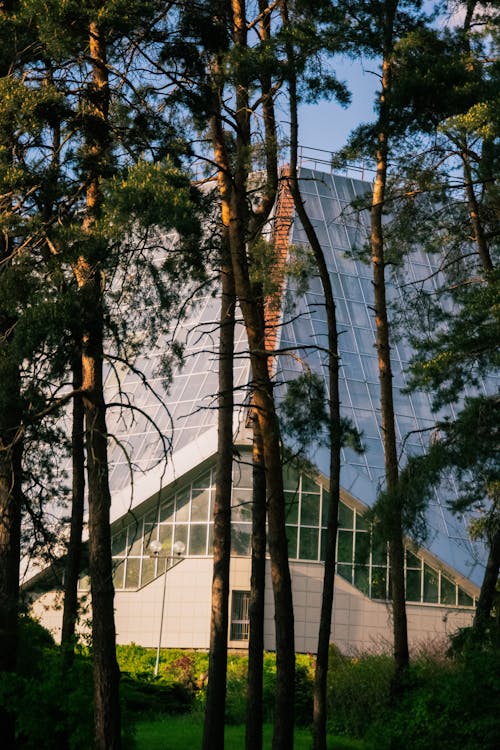 Kostenloses Stock Foto zu architektur-design, botanischer garten, gebäude hintergrund