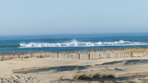 Wave on Sea Coast