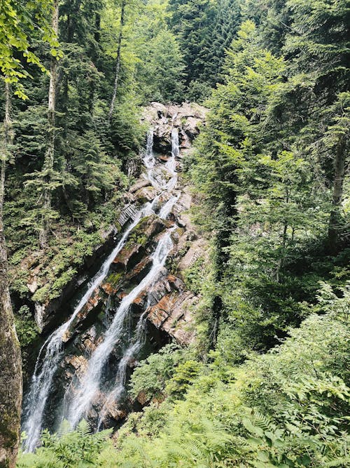 Foto profissional grátis de abismo, árvores, cachoeira