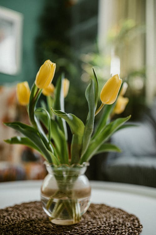 Close-up of a Bunch of Yellow Tulips in a Vase on a Table