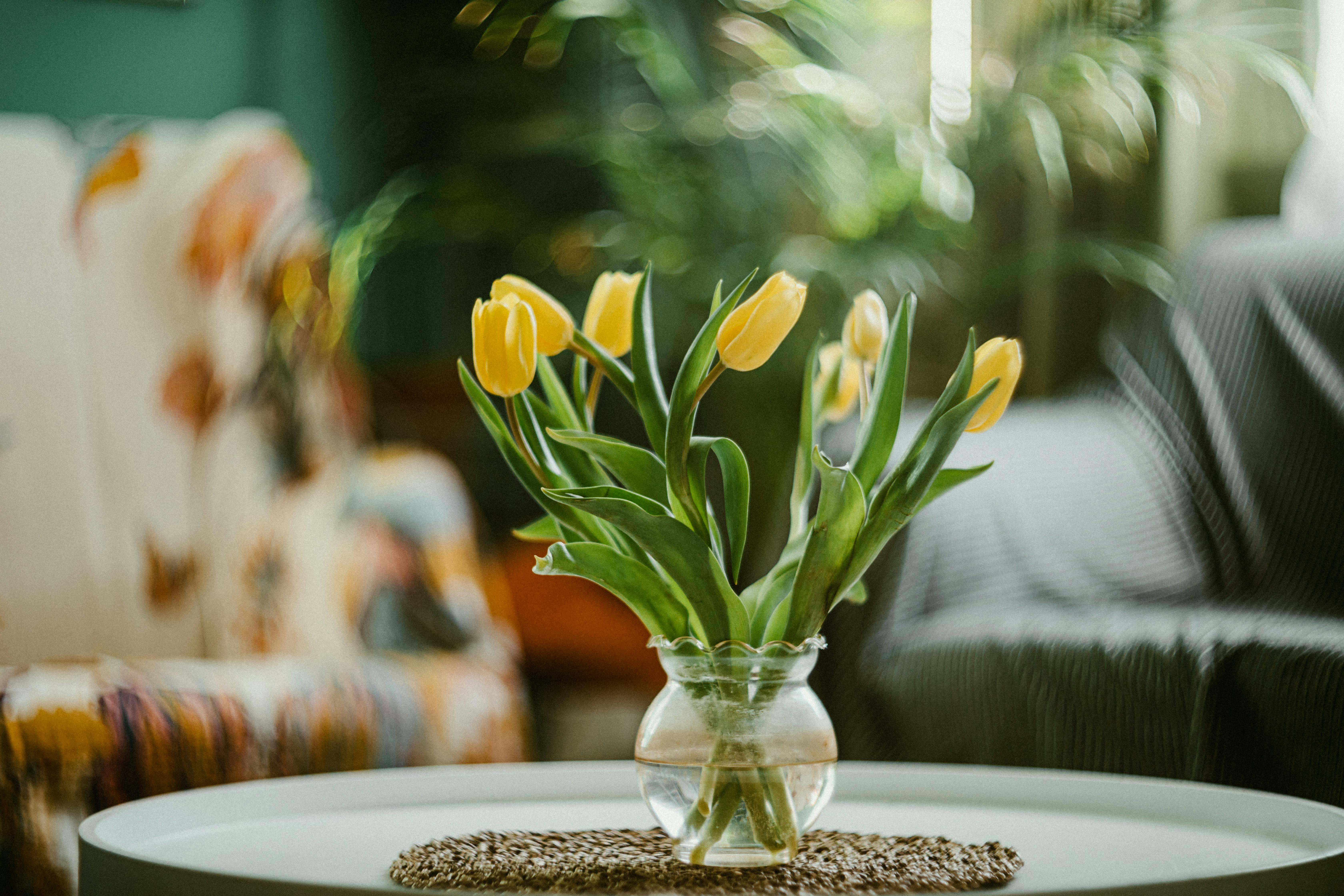 Give your home a spring reset for less than $100 with these DIY home improvement projects — Photo by Helena Jankovičová Kováč