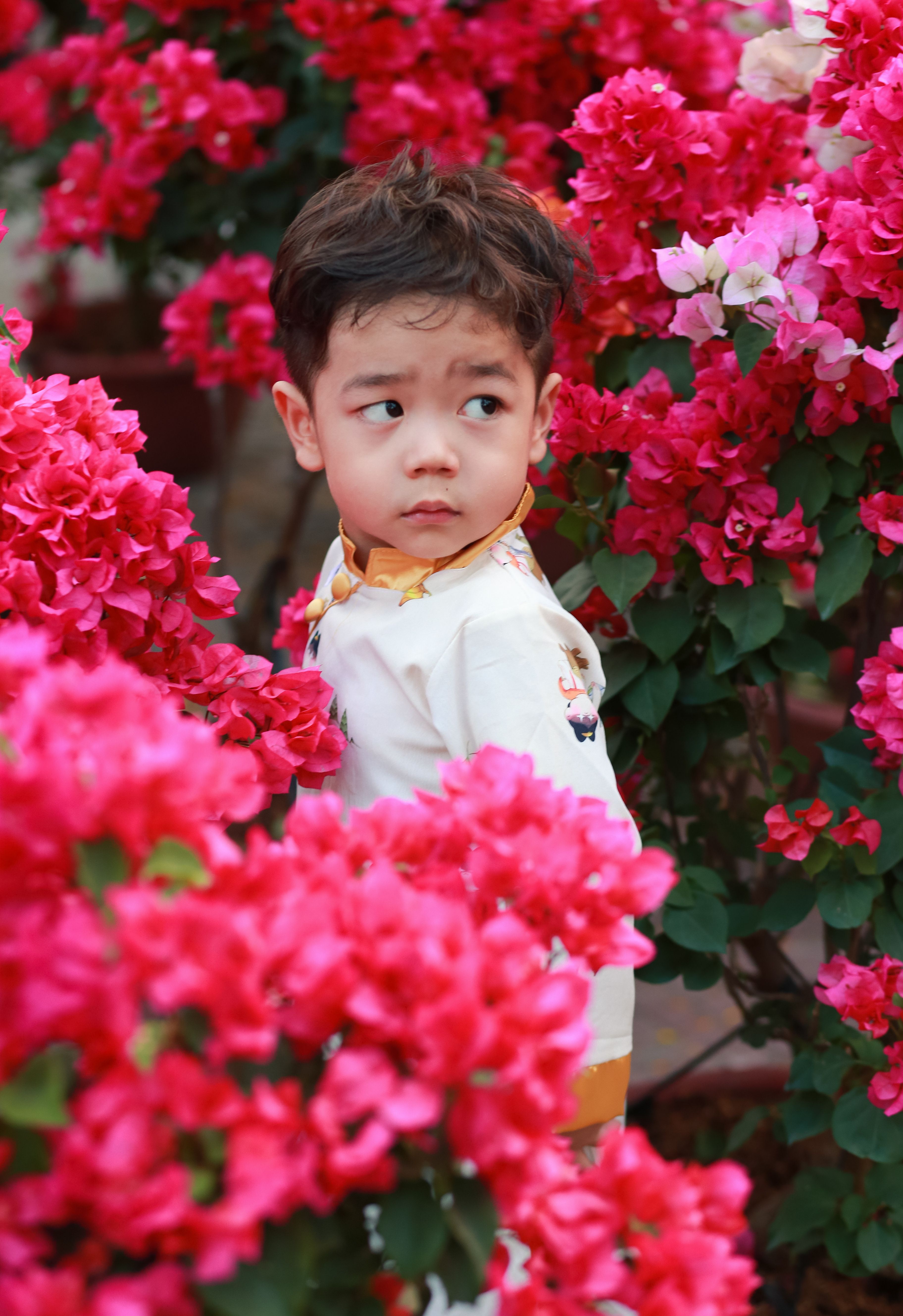 A Little Boy Standing between Pink Flowers in a Garden · Free Stock Photo