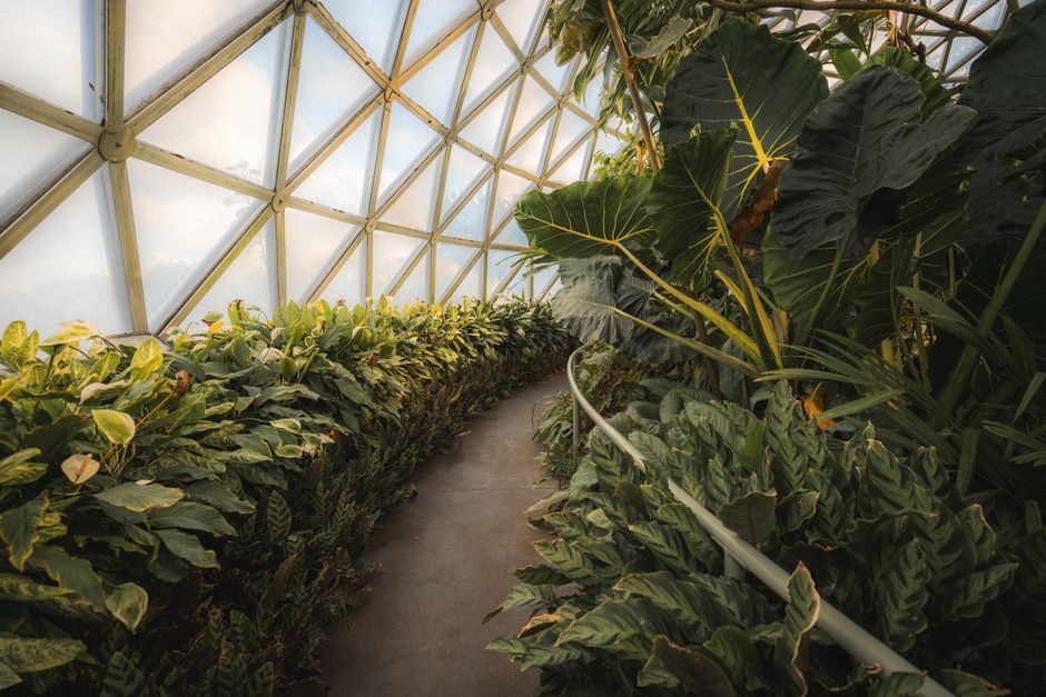 The Eden Project