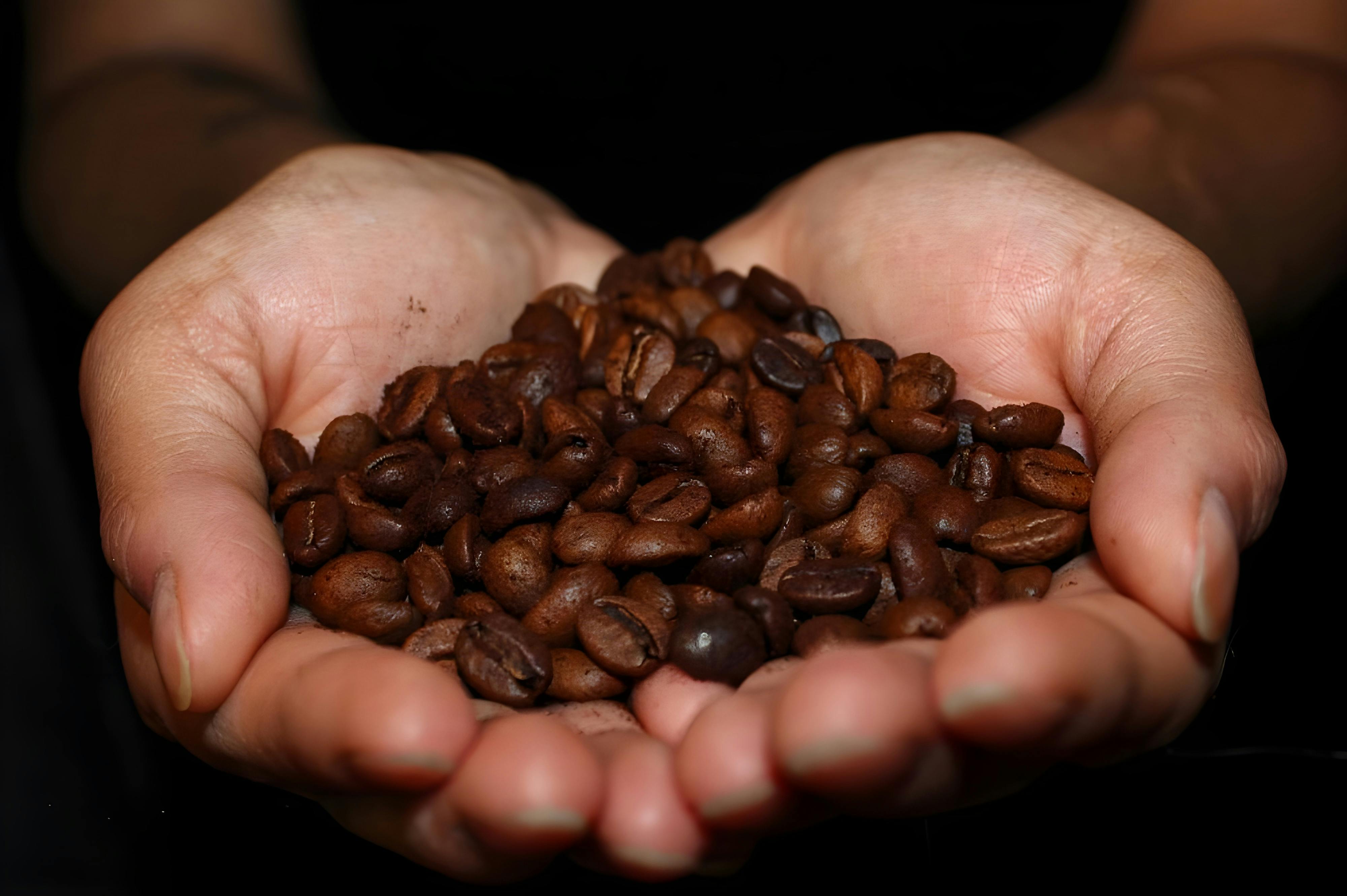 Kopi Segar