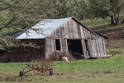 Free stock photo of barn, falling down, farm