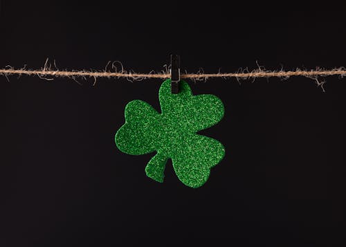 Free stock photo of 3 leaf clover, clover, green