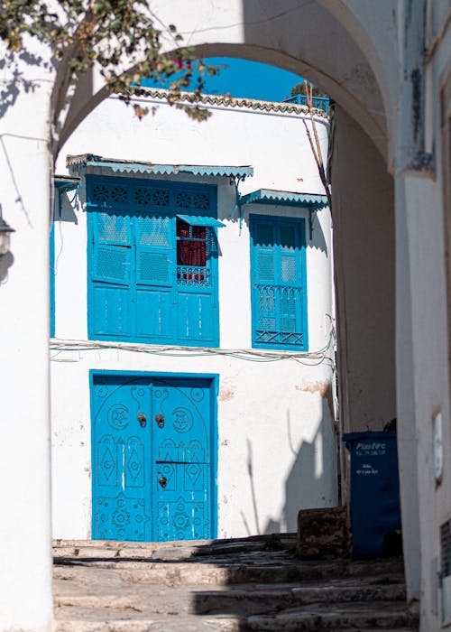 old-sidi-bou-said-house-with blue-windows