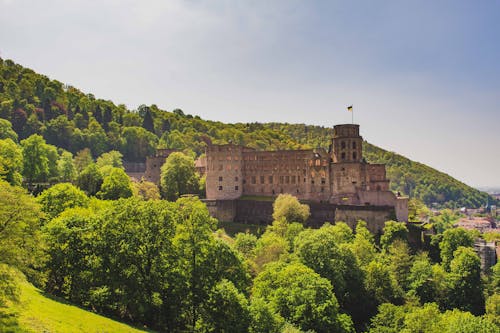 Foto profissional grátis de Alemanha, árvores, castelo de heidelberg