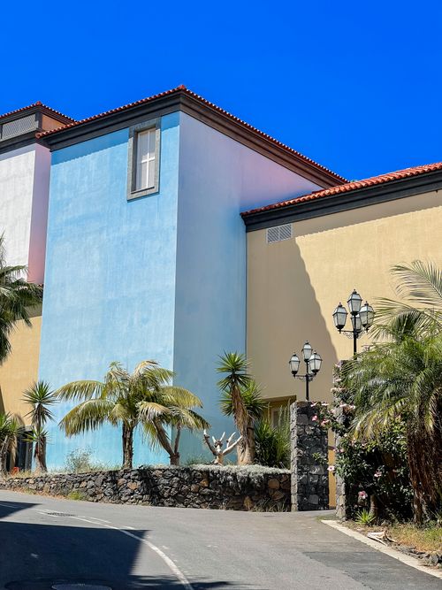 Free Vibrant buildings with palm trees on Madeira Island, Portugal, under a clear blue sky. Stock Photo