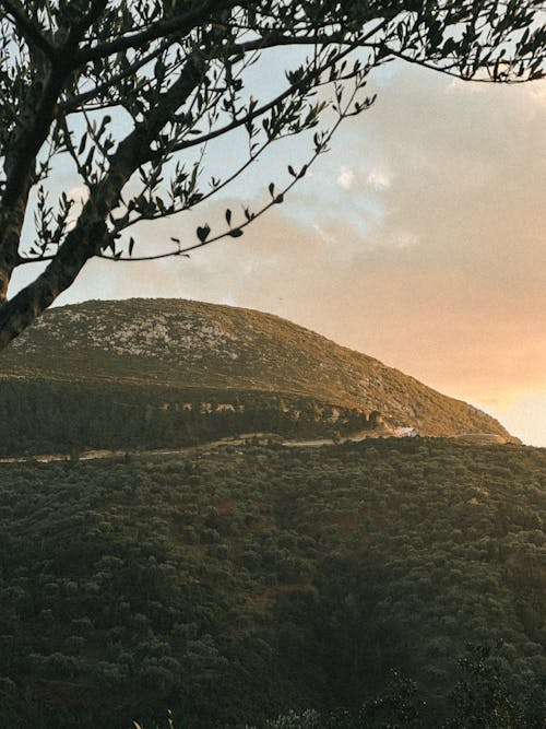 Hill in Countryside at Sunset