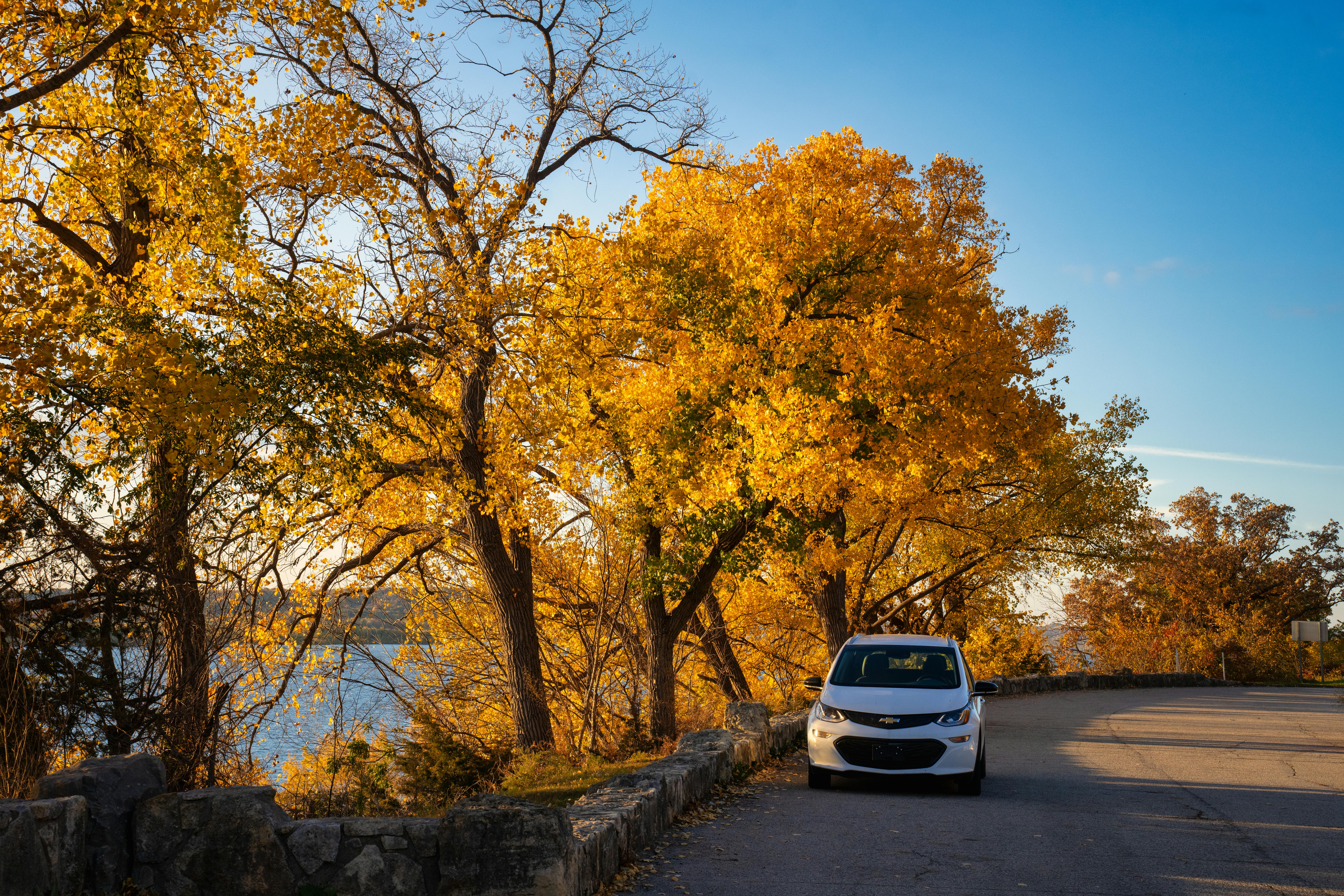 evs explained green transportation — Photo by Tom Fisk on Pexels