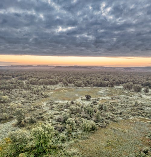 Kostenloses Stock Foto zu bäume, drohne erschossen, flachland