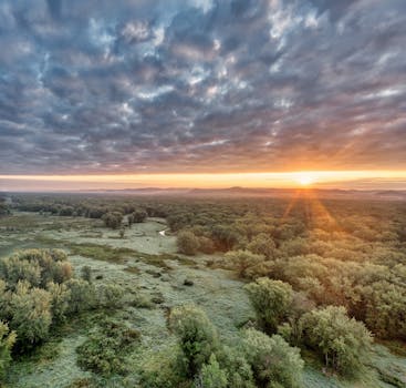 A breathtaking sunrise over a lush forest in Trevino, Wisconsin, with vibrant colors and dramatic clouds.