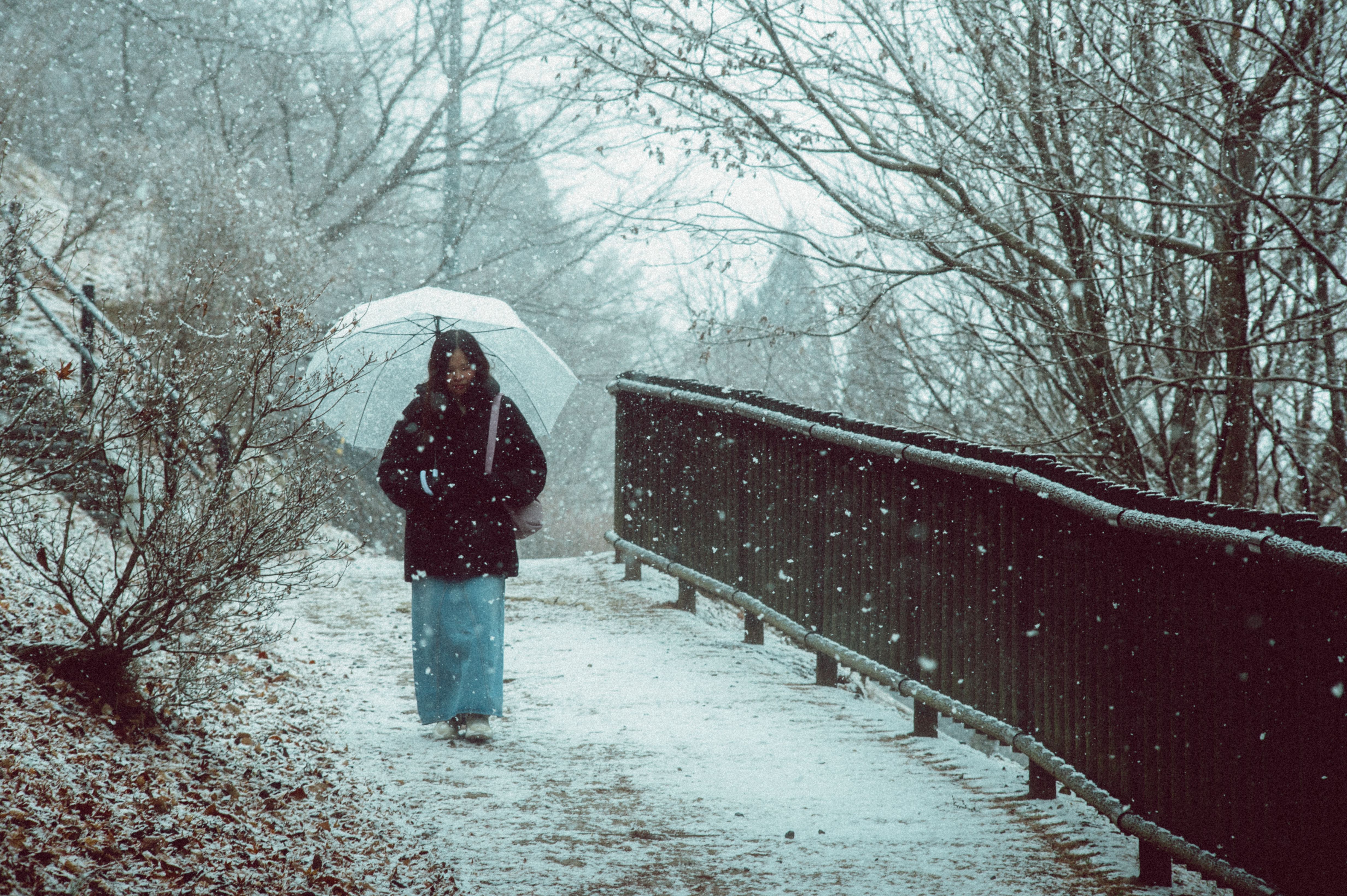 Woman Walking at Park in Winter · Free Stock Photo