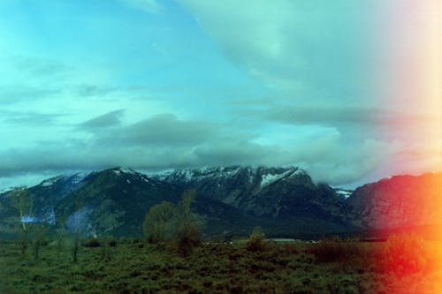 ポラロイド, 山岳, 木の無料の写真素材