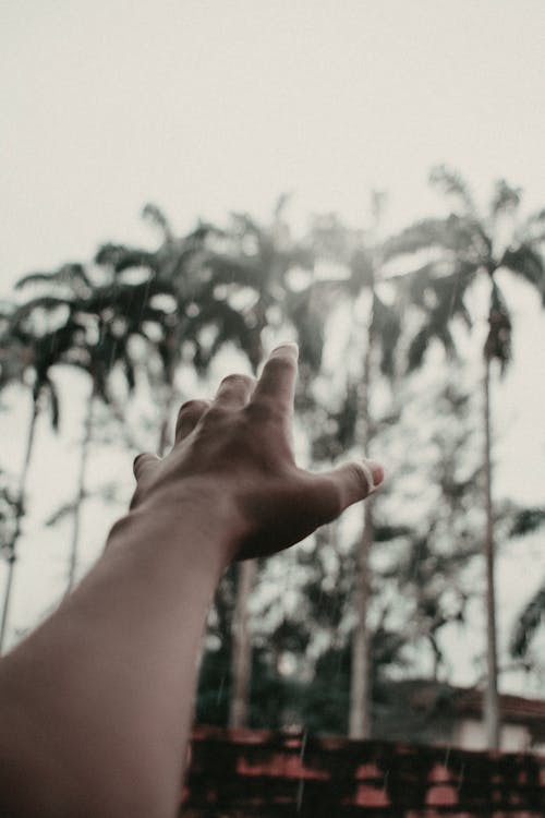 Selective Focus Photography Of Person Reaching Out