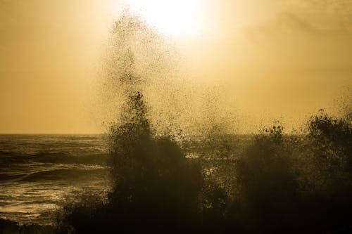 岸, 日没, 波の無料の写真素材