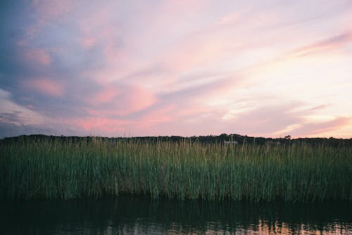 Foto stok gratis alam, bergegas, danau