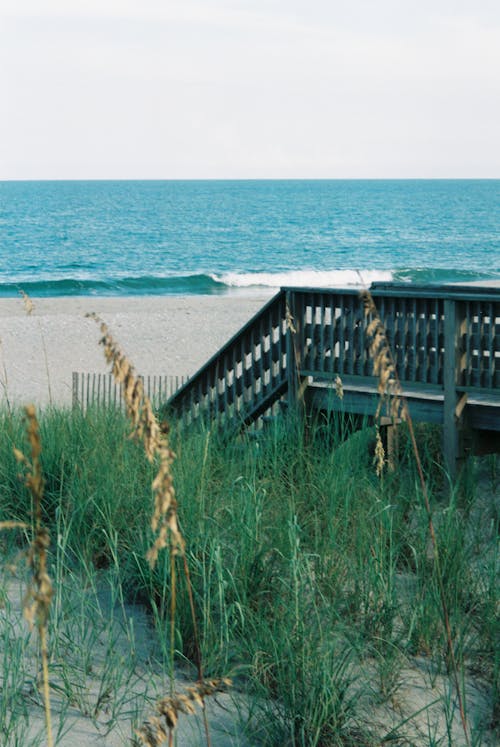 ビーチ, 垂直ショット, 岸の無料の写真素材