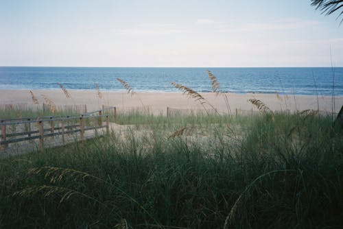 A beach with grass and sand