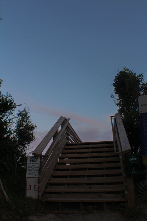 チャールストン, ドック, ビーチの夕日の無料の写真素材