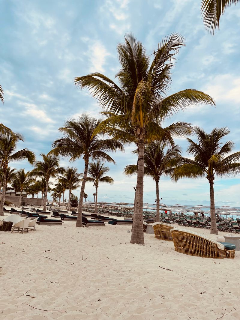 Palm-lined seaside promenade in Zona Romantica, Puerto Vallarta