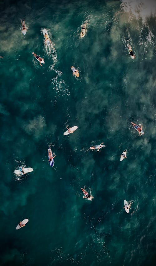 Aerial View of Tourists Paddling on Surfboards