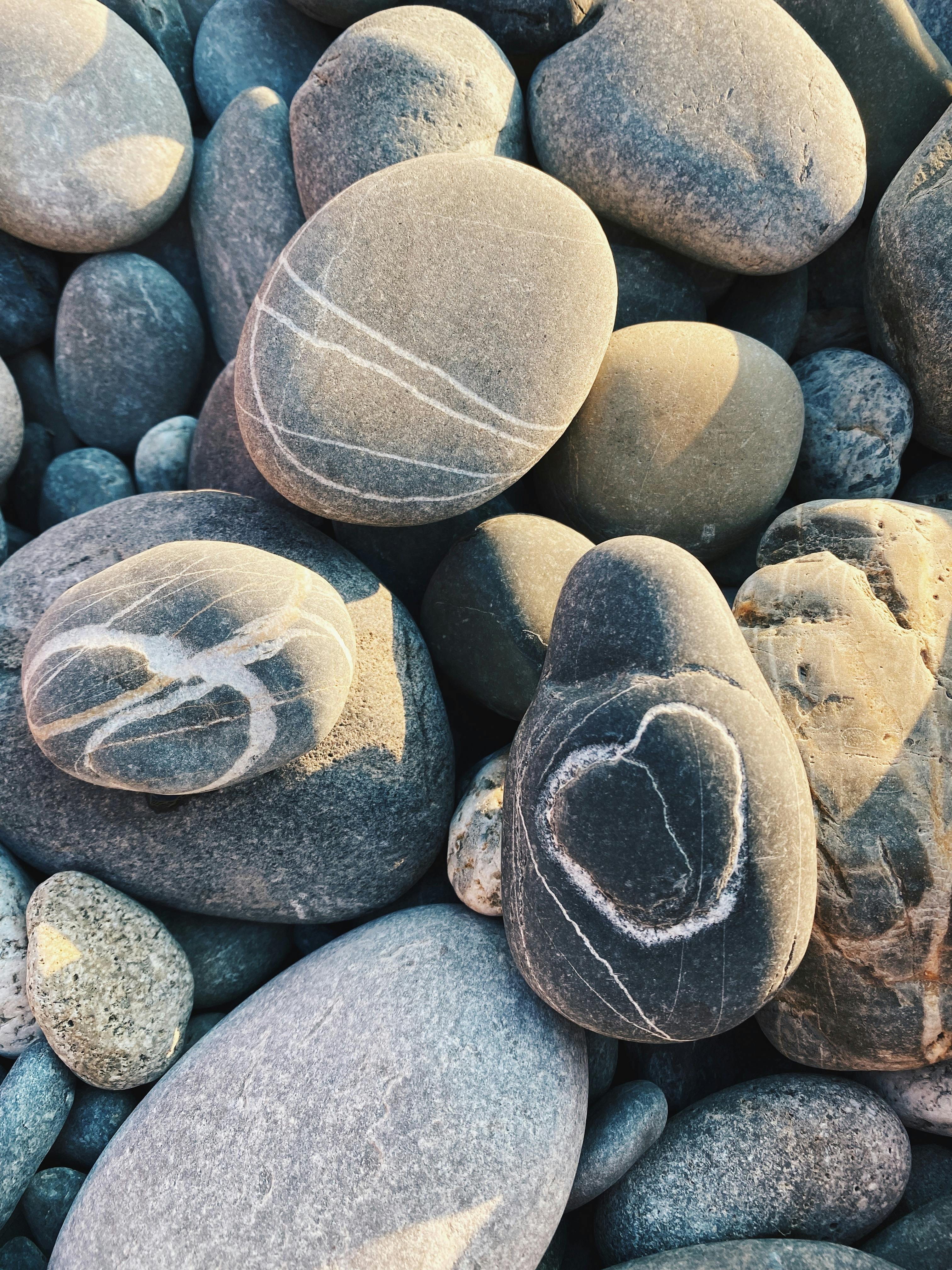 bible-zen-photos-download-the-best-free-bible-zen-stock-photos-hd-images