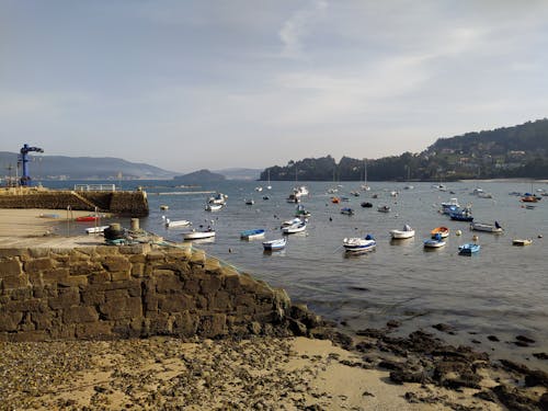 View of Moored Boats in a Harbor 