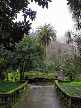 Scenic view of a green garden path with palm trees in Pontevedra, Spain.