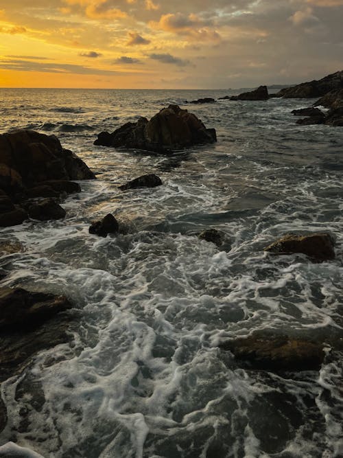 Immagine gratuita di acqua, alba, litorale