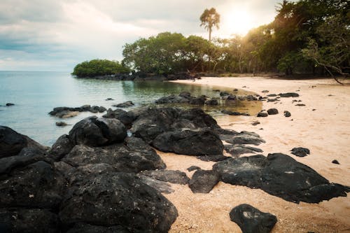 Rocks Near Shore