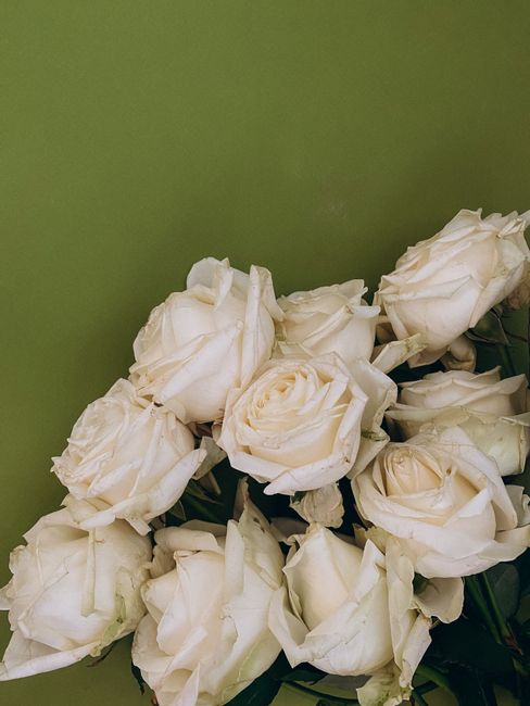 A bouquet of white roses elegantly arranged against a vibrant green backdrop.