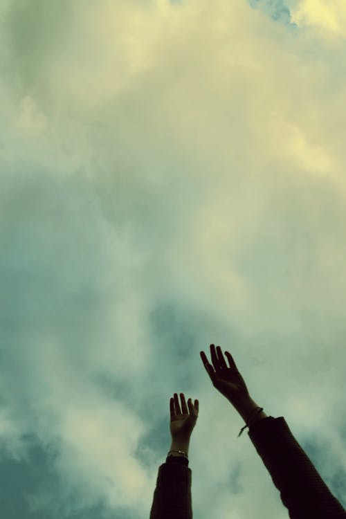 구름, 로우앵글 샷, 무기 제기의 무료 스톡 사진